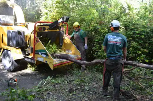 tree services Teec Nos Pos